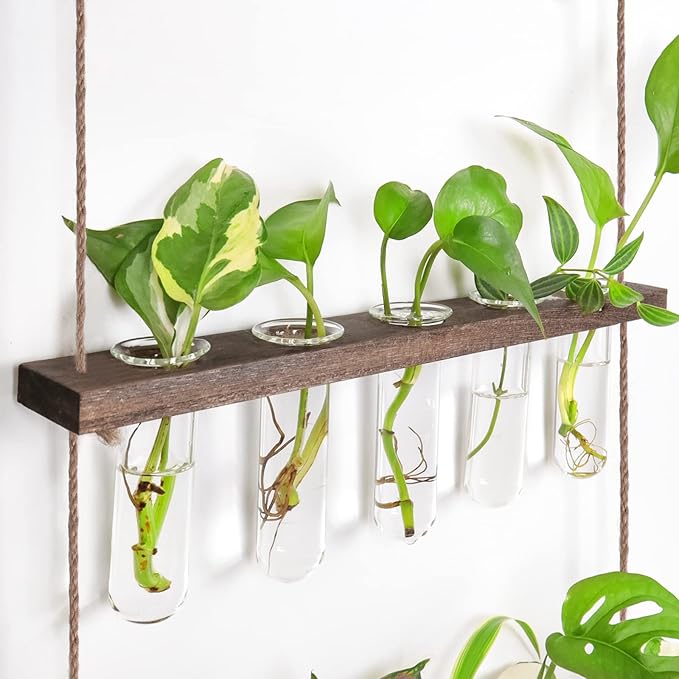 Ivolador Hanging Plant Propagation Tubes, 3 Tiered Wall Hanging Terrarium - Image 8