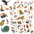 Wild Animals Stickers 750 Count Safari Jungle Animal Woodland Wildlife Zoo by Unknown