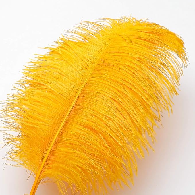 24pcs Natural Luxury Gold Ostrich Feathers 10-12inch - Image 2