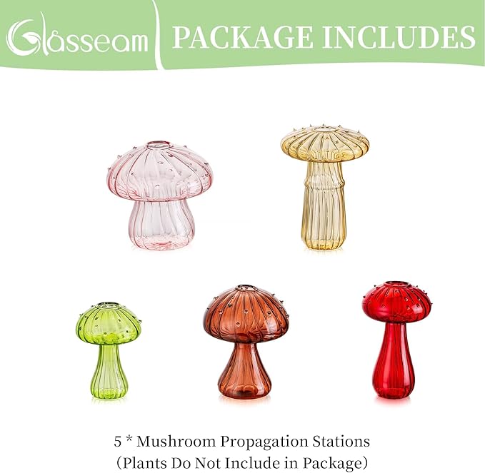 Glasseam Mushroom Glass Planter, Mini Terrarium - Image 7