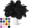 NEWONG 30pcs Black Ostrich Feathers Natural Bulk 9-12inch Vase Craft Wedding by NEWONG