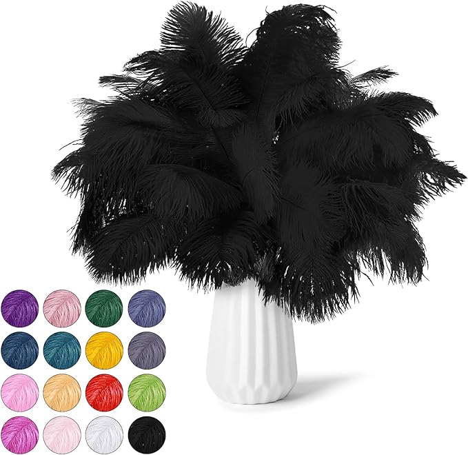 NEWONG 30pcs Black Ostrich Feathers Natural Bulk 9-12inch Vase Craft Wedding by NEWONG