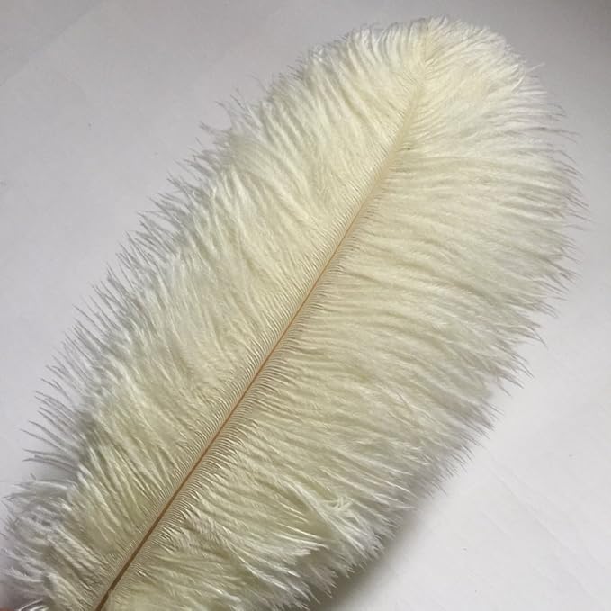Sowder 14-16inch Ostrich Feathers Plume - Image 2