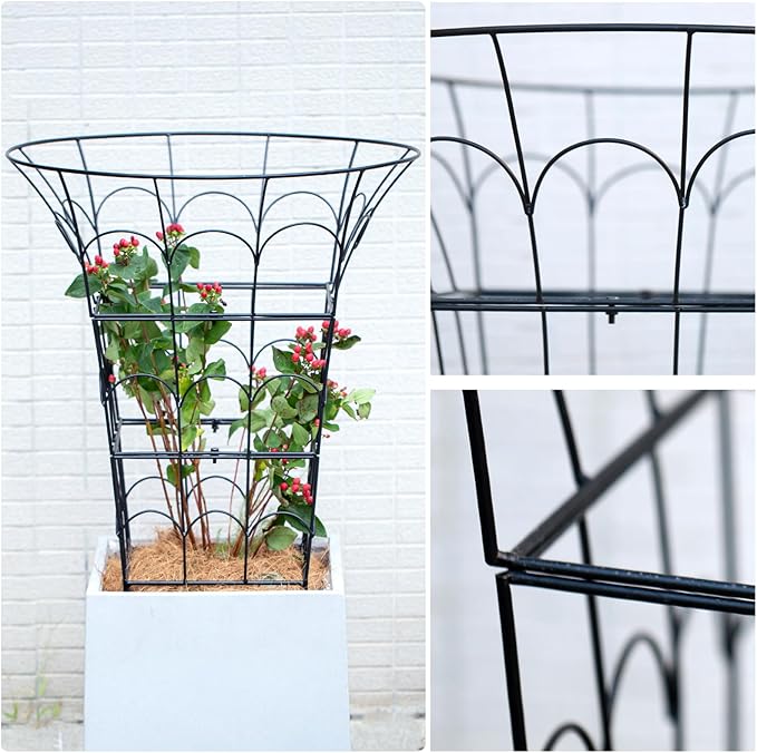 COOOXIM Peony Cages & Supports - Image 3