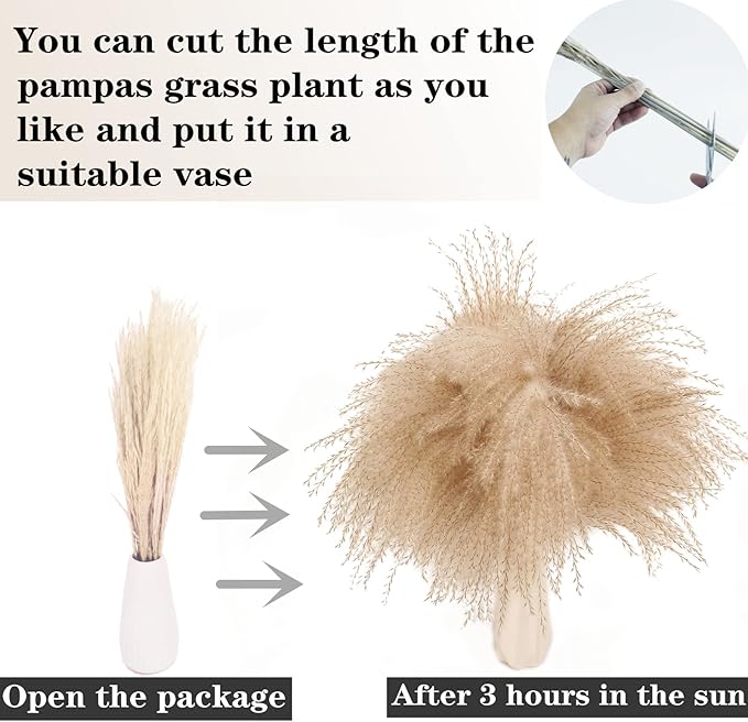 300 PCS Dried Flower Bouquet – Pampas Grass, Floral Decor - Image 4