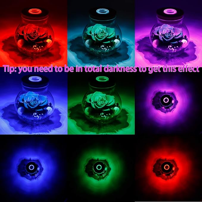 Preserved Real Roses with Colorful Mood Light Wishing Bottle, Eternal - Image 6