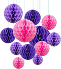 ZOOYOO 12Pcs 6" 10" Honeycomb Balls Decorations Hanging Tissue Paper Pom Poms by ZOOYOO