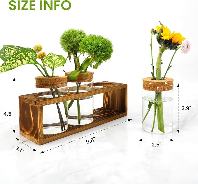 Propagation Stations, Plant Terrarium - Image 3