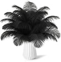NEWONG 30pcs Black Ostrich Feathers Natural Bulk 8-10inch Vase Craft Wedding by NEWONG