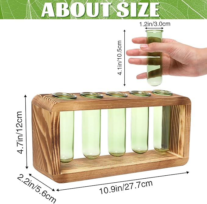 Glass Plant Propagation Station - Image 2