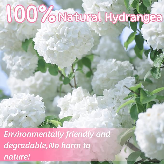 1500+ Real Dried Hydrangea Flower Petals -1.06Oz Real Natural Preserved Petals - Image 2