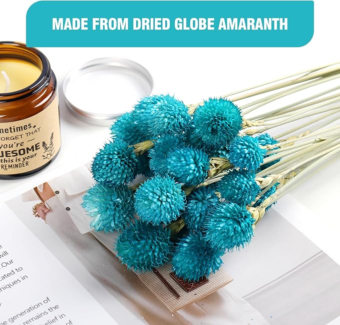 Dried Flower Tiffany Blue Globe Amaranth - Image 4