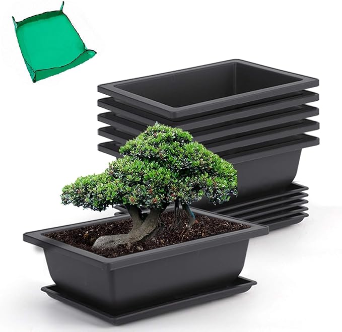 GROWNEER 6 Pack 9 Inch Bonsai Pots by GROWNEER