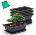GROWNEER 6 Pack 9 Inch Bonsai Pots by GROWNEER
