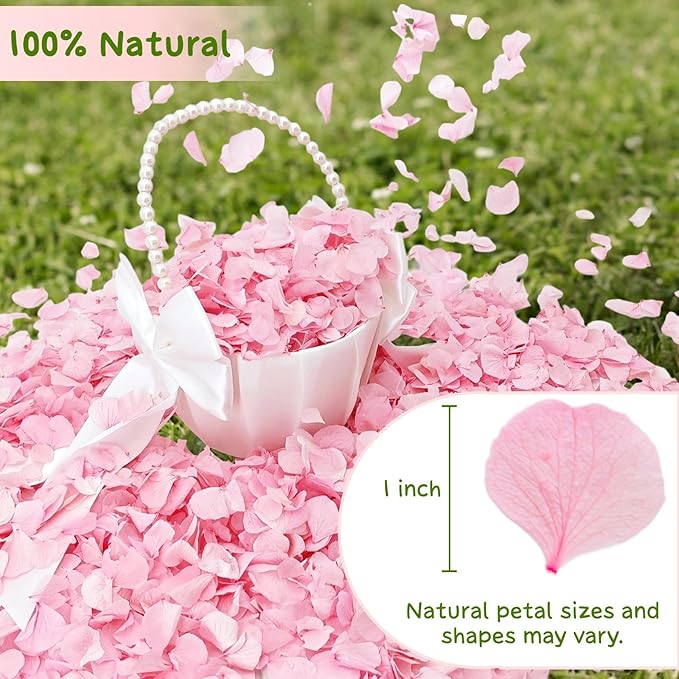 1500Pcs Real Hydrangea Pink Dried Flower Petals - Image 3