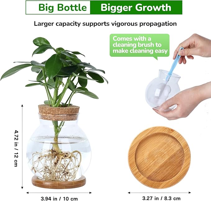Propagation Station, Larger Capacity Ball Vase - Image 2