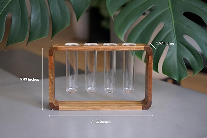 Source & Plot - Plant Propagation Station - Acacia Wood Stand 4 Glass Test Tube - Image 6