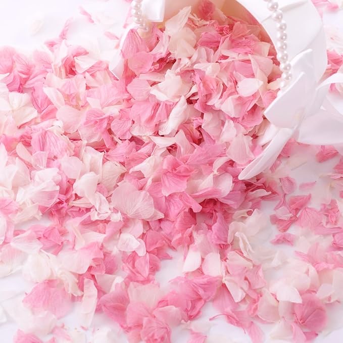 1500+ Real Dried Hydrangea Flower Petals -1.06Oz Real Natural Preserved Petals by Oning