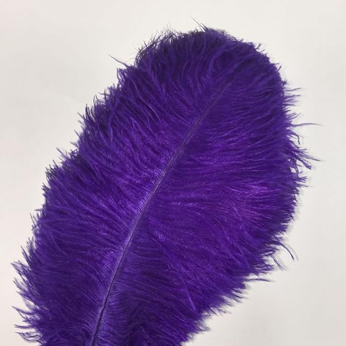 KOLIGHT 40pcs 12''~14'' Natural Ostrich Feathers - Image 3