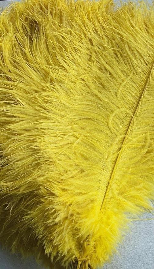 Kolight® 40pcs 12''~14'' Natural Ostrich Feathers - Image 3