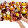 Dried Flower Chrysanthemum Biodegradable Confetti by JAPJA