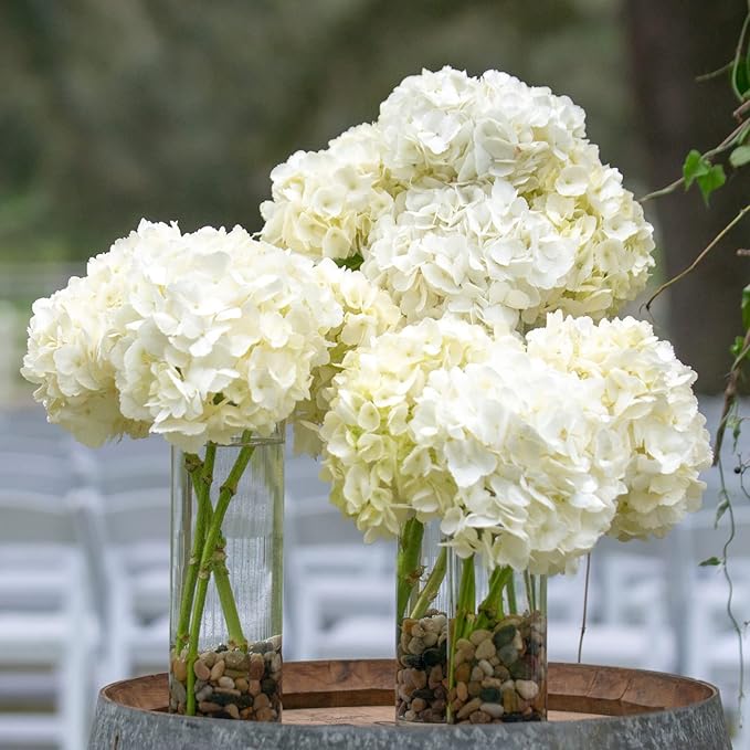WDHODEC Cylinder Flower Vases 6PCS, Hurricane Candle Holders Pillar Votives - Image 2