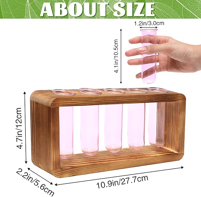 Glass Plant Propagation Station - Image 2