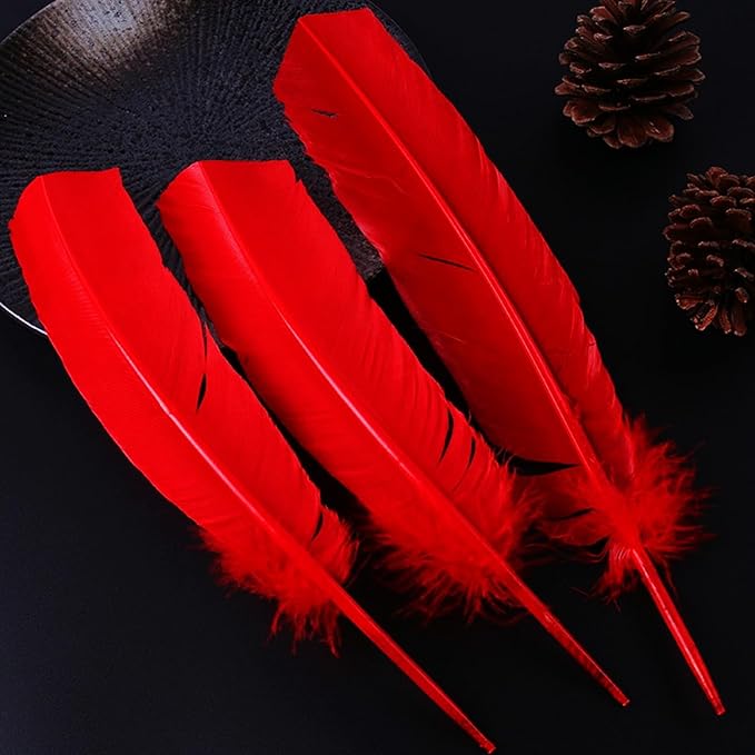 Red Turkey Feathers, Turkish Feather - Image 4