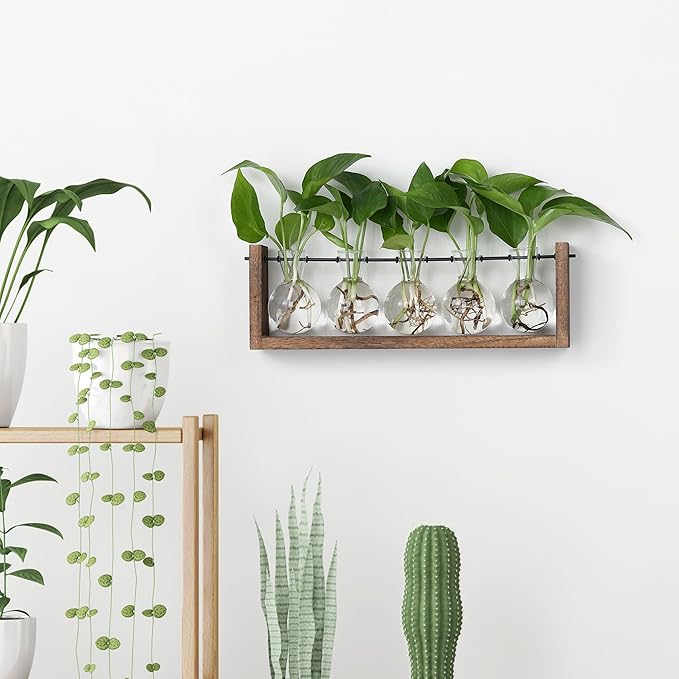YIBOT Plants Propagation Stations, Plant Terrarium - Image 6
