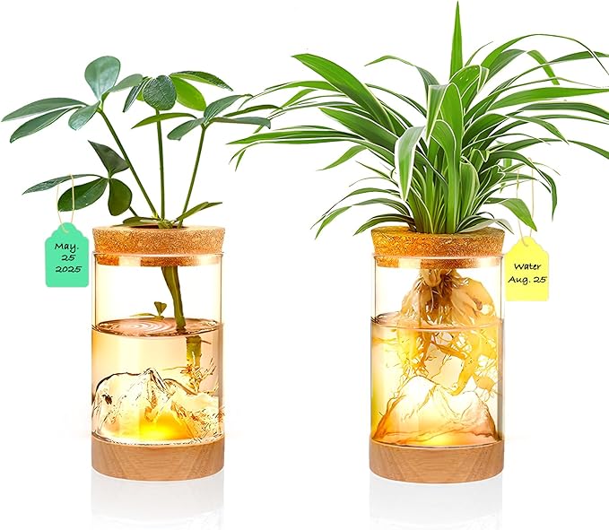 2Pcs Plant Propagation Station by Kriico