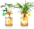 2Pcs Plant Propagation Station by Kriico