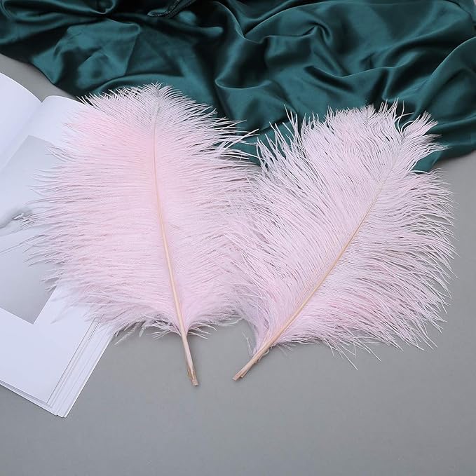 24pcs Natural Light Pink Ostrich Feathers 10-12inch - Image 4