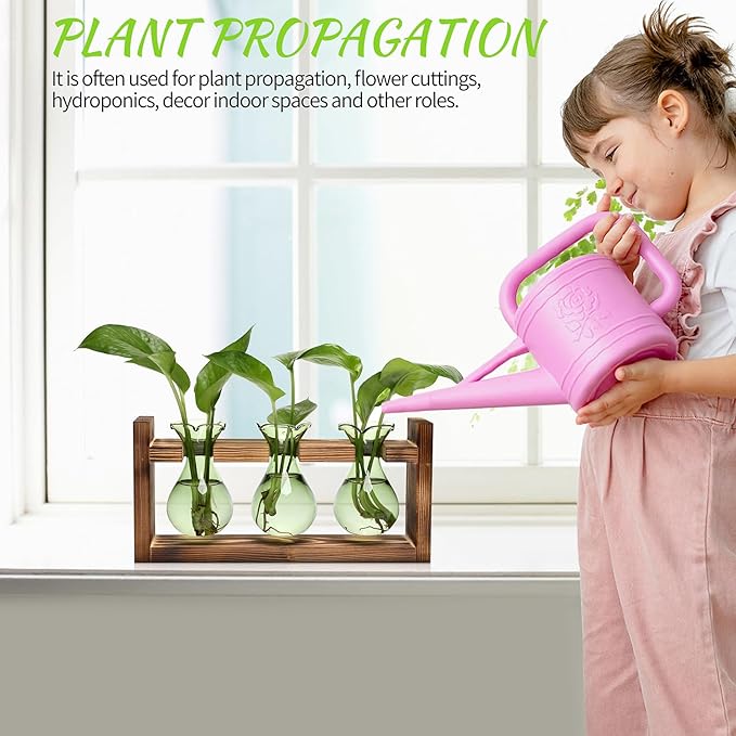 Plant Propagation Station Plant Terrarium Unique Birthday Gifts - Image 4