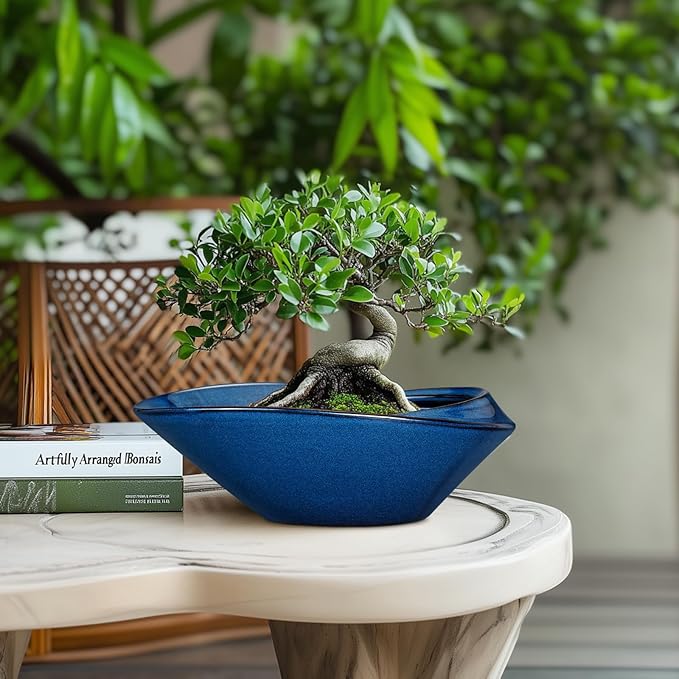 Bonsai Tree Pot - Image 2