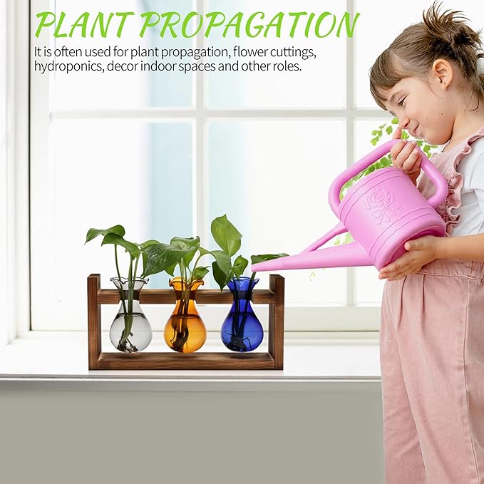 Plant Propagation Station Plant Terrarium Unique Birthday Gifts - Image 4