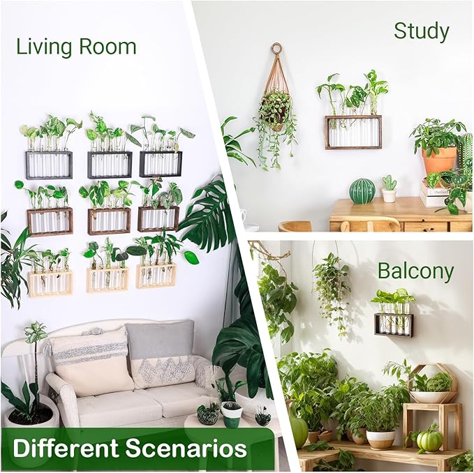 Ivolador Plant Propagation Station Terrariumin Wall Test Tube Vases Bud - Image 6