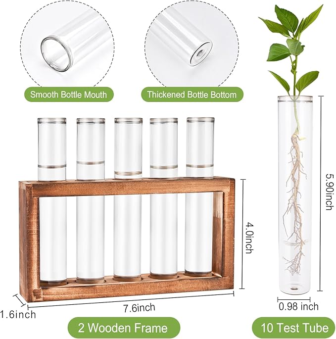 2pcs Desktop Glass Plant Propagation Station - Image 2