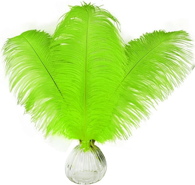 Happy Feather 16-18 inch Green Ostrich Feathers Craft by SupplyHighQualityFeathers