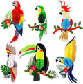 6 Pieces Tropical Birds Honeycomb Cutouts, Large Parrot Hanging Decor Parrot by Pedel