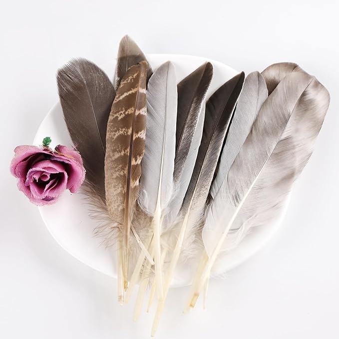 MAOFENG 20pcs Natural Pheasant Feathers 5 Styles 5-9 inches 13-23cm - Image 5