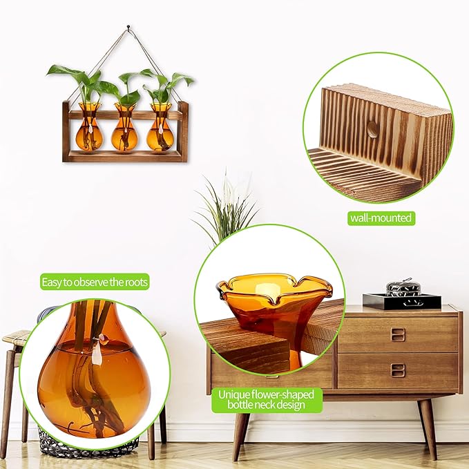 Plant Propagation Station Plant Terrarium Unique Birthday Gifts - Image 2