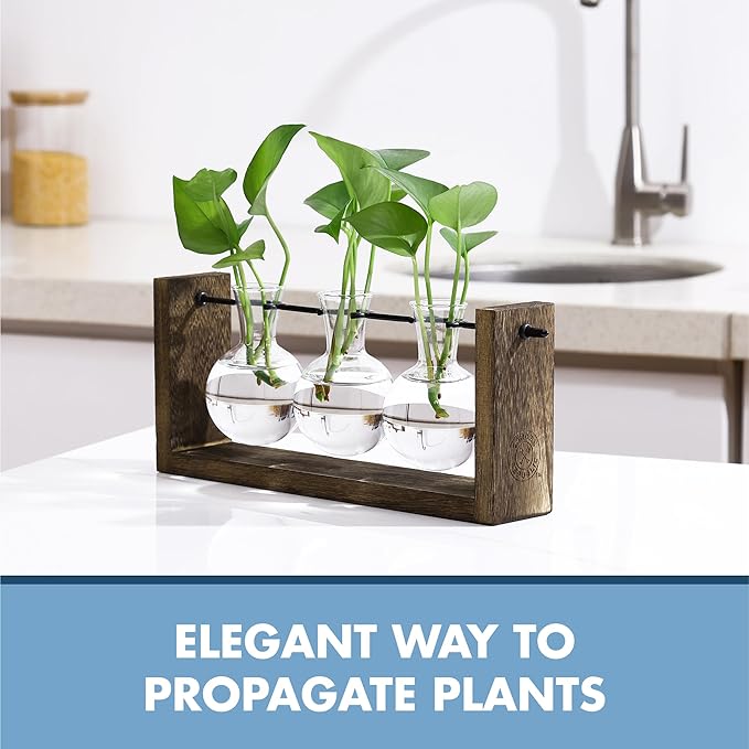 Garden Republic Plant Propagation Station, Wooden Stand - Image 2