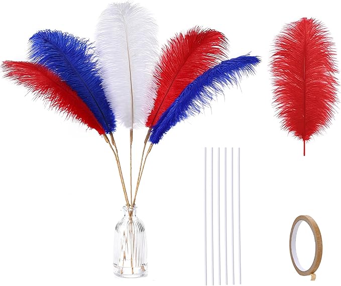 Holmgren Red White and Blue Ostrich Feathers by Holmgren