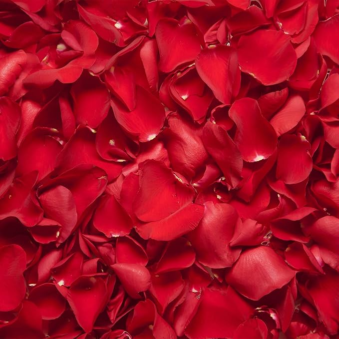 3.5 Oz Dried Rose Petals Wedding Biodegradable Petals, Natural Preservation by ZPNUZDU