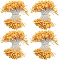 HAHIYO 700Pcs 2mm Orange-Yellow Matte Double Head Flower Stamen Pistil by HAHIYO