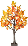 24 Inch Lighted Maple Tree by TiYiViRi