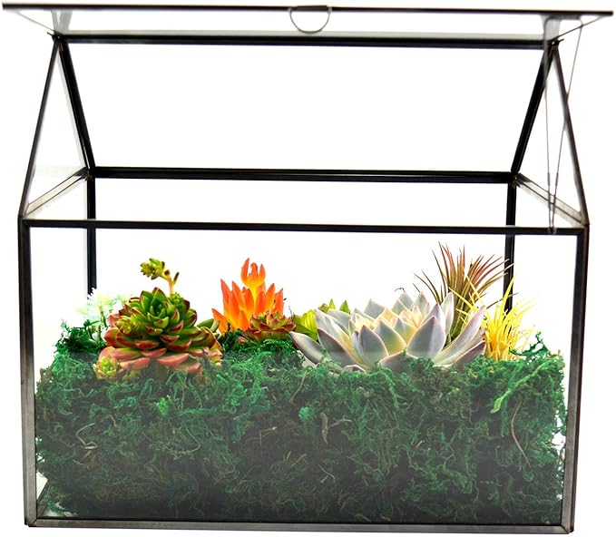 Black 1 Large Glass Plant Terrarium Kit - Image 8