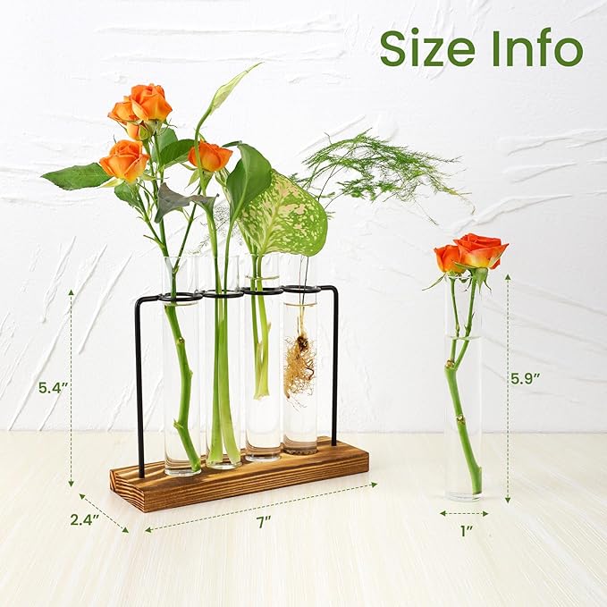Plant Propagation Station, Glass Tubes - Image 3