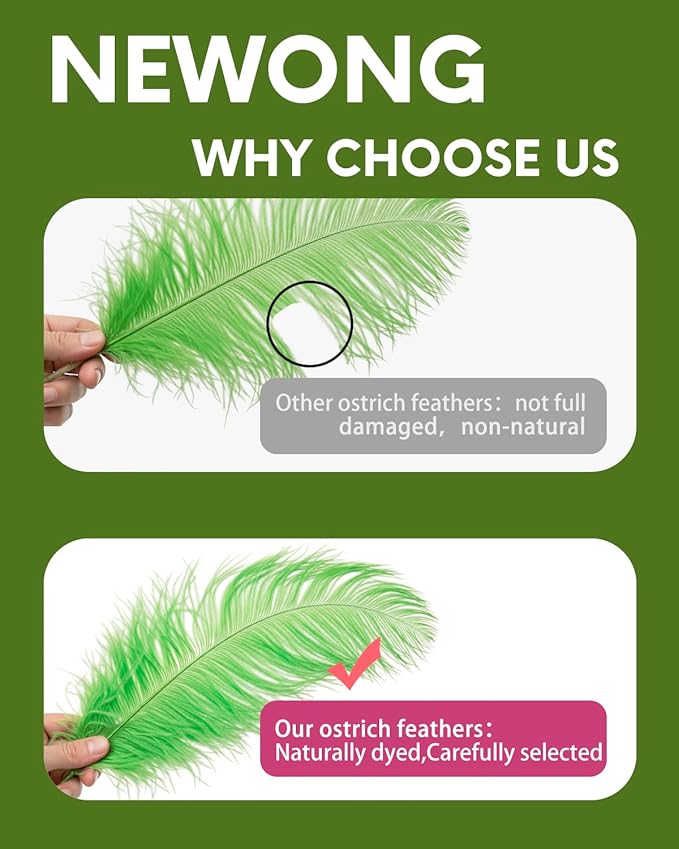 NEWONG 30pcs Fruit Green Ostrich Feathers Natural Bulk 11-14inch Vase Craft - Image 5