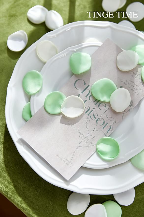 TINGE TIME 400pcs Silk Flower Petals - Image 6